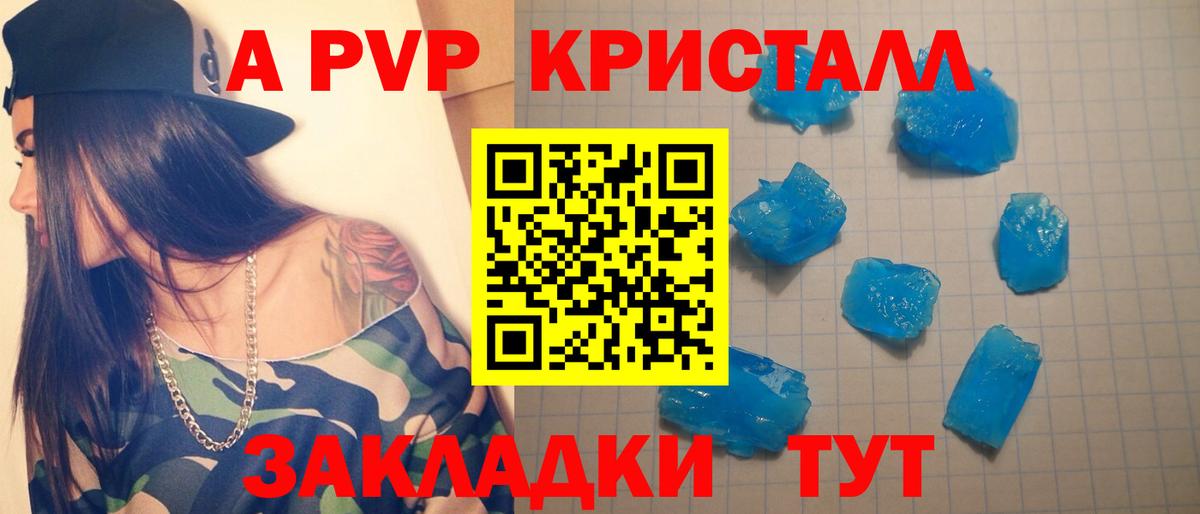 Alfa_PVP СК КРИС Кизилюрт