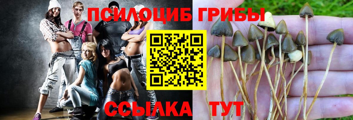 Галлюциногенные грибы Cubensis  Псилоцибиновые грибы Psilocybine cubensis  Вход с VPN  Кизилюрт 